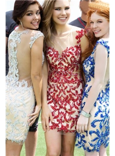 Luxurious Sheath Scoop Pearls Tulle Homecoming Dress