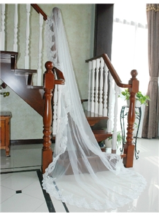 Fabulous Cathedral Length White Tulle Wedding Veil