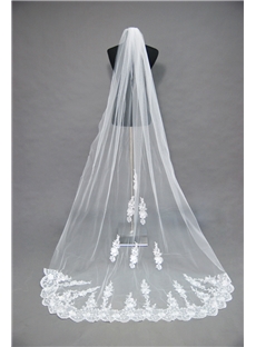 Attractive Floral Edge Cathedral Veil Wedding Bridal Veil