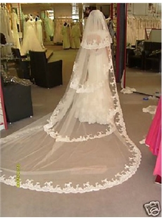 Graceful Cathedral Length White Lace Wedding Bride Veil