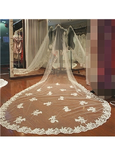 Gorgeous Cathedral Length Beautiful White Lace Wedding Bride Veil （do Not Contain Comb ）