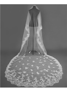 Gorgeous Cathedral Length White Applique Wedding Bride Veil （do Not Contain Comb ）