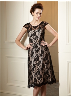 Vintage Lace A Line Scoop Neckline Knee Length Mother Of The Bride Dress