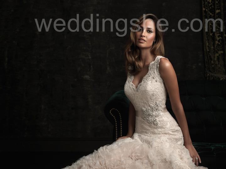 Gorgeous Mermaid Dramatic V-neck Band Beading Wedding Dress
