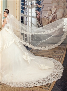 Fabulous Cathedral Length White Tulle Wedding Veil