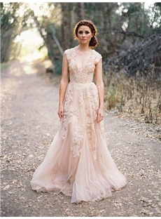 Vintage A Line Princess V Neck Sleeveless Appliques Court Train Tulle Wedding Dress