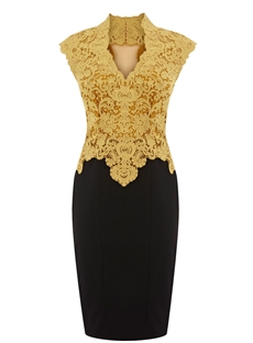 Cheap V Neck Lace Embroider Sleeveless Little Party Dress