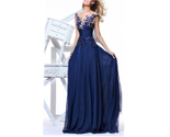 Glamorous A-Line Appliques Tulle Neckline Long Evening Dress